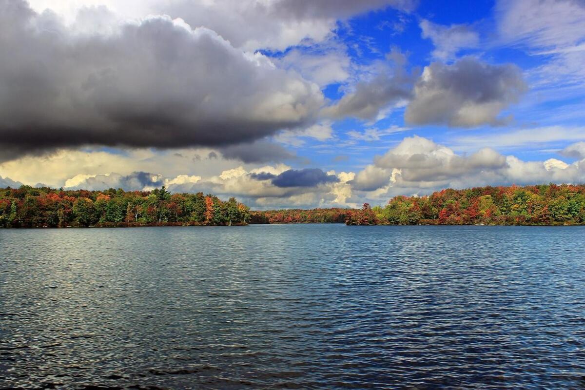 1 Floor, Pocono Pond House With Game *